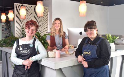 Craft Central Dunblane Awarded Four-Star VisitScotland Accreditation